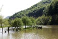River flood in the spring valley of Cerna river Royalty Free Stock Photo