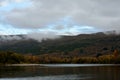 River flow and colourful autumn forest