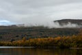 River flow and colourful autumn forest