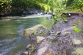 River flow that contains grass and yellow rocks