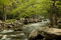 River flow in North Carolina