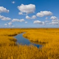 river flow in prairie under cloudy sky Royalty Free Stock Photo