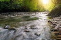 River flow in sunny forest Royalty Free Stock Photo