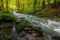 River flow in sunny forest at sunrise Royalty Free Stock Photo