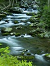 River flow in TN, Smoky Mountains Royalty Free Stock Photo