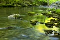 River flow in TN, Smoky Mountains