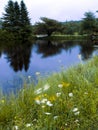 River and flower wind landscape Royalty Free Stock Photo