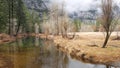 River flowing, autumn forest, California. Calm surface of water stream or creek. Royalty Free Stock Photo