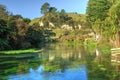 River flowing from the beautiful Blue Spring, Te Waihou, New Zealand