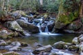 River flowing through dense, green forest with scattered rocks Royalty Free Stock Photo