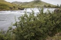 River Flowing Fast over Weir Lined with Vegetation