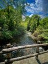 A river flowing in the forest Royalty Free Stock Photo