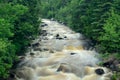 River Flowing Through the Forest