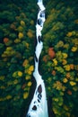 a river flowing through the forest with stones generated by ai