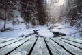 River flowing through a forest in winter Royalty Free Stock Photo