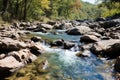 a river flowing through a forested area with rocks and trees