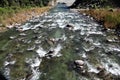 A river flowing through forested valley of Himalaya,Arunachal Pradesh,India.Sunny morning with blue sky.River flow through rocks