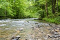 River flowing through the great smoky mountain national park Royalty Free Stock Photo