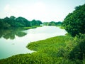 Tranquil River Flow: Green Paradise in Asia Royalty Free Stock Photo