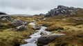 Bog With Sharp Boulders: Traditional British Landscapes In 8k Resolution Royalty Free Stock Photo
