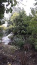 The River at Heeley Sheffield