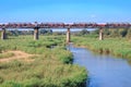 River flowing through Kruger National Park at sunrise with the moon setting behind a tree, Kruger National Park Royalty Free Stock Photo