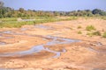 River flowing through Kruger National Park at sunrise with the moon setting behind a tree Royalty Free Stock Photo