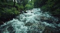 River Flowing Through Lush Green Forest Royalty Free Stock Photo