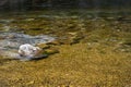 Merced River in Yosemite National Park Royalty Free Stock Photo