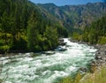 A River Flowing Through a Mountain Forest Royalty Free Stock Photo