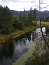 River flowing through Nature