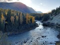 River flowing past yellow larch trees