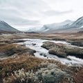 Arctic Tundra: A Majestic Icelandic Wilderness With Mountains And A River