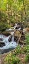River flowing through rocks in forest at Anna Ruby Falls in Georgia Royalty Free Stock Photo