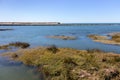 River flowing into the sea. Bay shore on sunny day. Scenic panorama of summer seacoast. Atlantic Ocean coast.