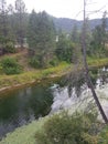 River flowing through Nature