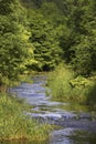 River flowing through tree lined route