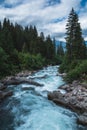 River flowing trough the forest. Royalty Free Stock Photo