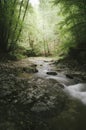 River flowing trough green woods Royalty Free Stock Photo