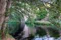 River flowing under a stone bridge and between trees