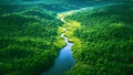 River with flowing water and green forest. Ariel view of wooded mountains on a bright day with a stream flowing through