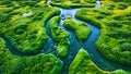 River with flowing water and green forest. Ariel view of wooded mountains on a bright day with a stream flowing through