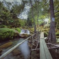 river flowing into waterfall ,night photo ,place for rafting, Panoramic beautiful deep forest waterfall ,Nature Los Micos, Royalty Free Stock Photo