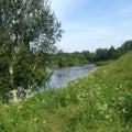 The river flows between forest and meadow