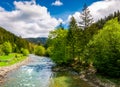 River among the forest in picturesque Carpathian mountains in sp Royalty Free Stock Photo