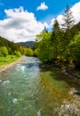 River among the forest in picturesque Carpathian mountains in sp Royalty Free Stock Photo