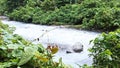 River Flows Green Nature Waters mountaun