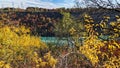 The river flows in rapids surrounded by trees of beautiful colors, Niagara Falls, ON, Canada Royalty Free Stock Photo