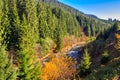 River flows by rocky shore near the autumn mountain forest Royalty Free Stock Photo