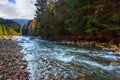River flows by rocky shore near the autumn mountain forest Royalty Free Stock Photo